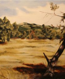 "Bosque, alrededores de Rascafría", 61x50, óleo sobre lienzo, 2013
