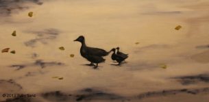 "Familia de patos", 80x40, óleo sobre tabla, 2013