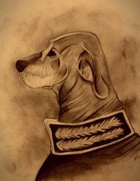 "Perro generalissimo"